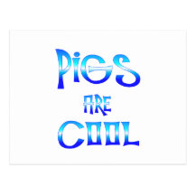 Pigs are Cool Post Card