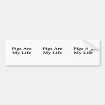 Pigs Are My Life Bumper Stickers