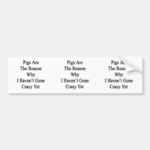 Pigs Are The Reason Why I Haven't Gone Crazy Yet Bumper Sticker