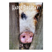 PIGS CARD