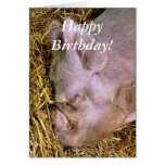 PIGS CARDS