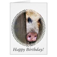 PIGS CARDS