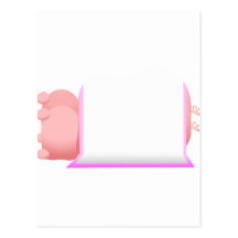 Pigs In A Pink Blanket Post Cards