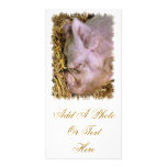 PIGS PICTURE CARD