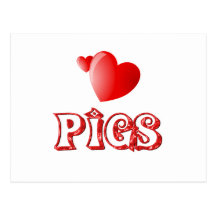 Pigs Postcard
