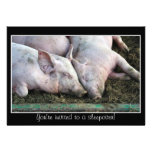 Pigs sleeping, sleepover invitation