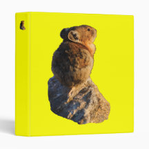 pika