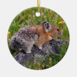 pika and wildflowers ornaments