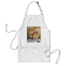 pika aprons