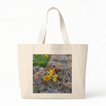 Pika Bags