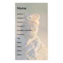 pika business card