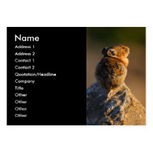 pika business card template