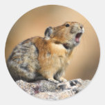 pika sticker
