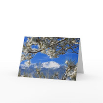 Pikes Peak Winter Snow Covered Fractal Art Cards