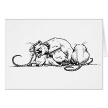 Pile de rat cartes