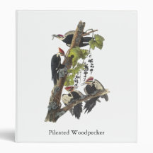 Pileated Woodpecker, John Audubon 3 Ring Binder