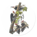Pileated Woodpecker, John Audubon Round Stickers