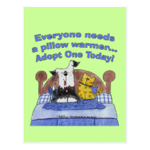 Pillow Warmers Postcards