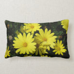 Pillow - Yellow daisies pillows