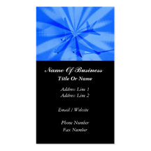 Pilot Business Card