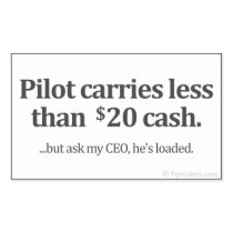 Pilot carries less than $20 cash