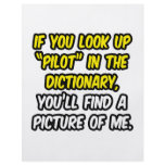 Pilot In Dictionary...My Picture flyers