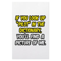 Pilot In Dictionary...My Picture