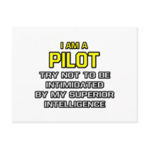 Pilot...Superior Intelligence