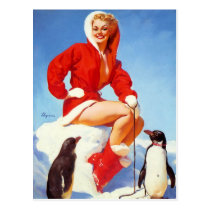 Pin- avec la carte postale de pingouins cartes postales