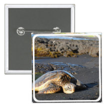 Pin de carré de tortue de mer badges avec agrafe
