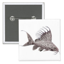 Pin de poisson-chat d'eupterus de Synodontis Badge