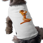 Pin Up Girl pet clothing