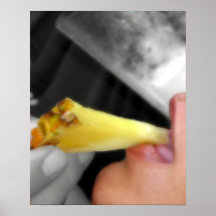 "Pina Colada" Poster