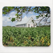 Pinar del Rio Tobacco Barn Mouse Pads