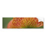 Pincushion Protea Bumper Stickers
