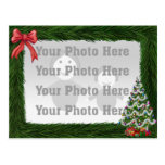 Pine Border Christmas Photo Postcard