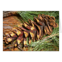 Pine cone 3 card