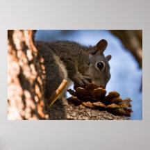 Pine Cone Breakfast Posters