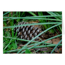 Pine Cone Card