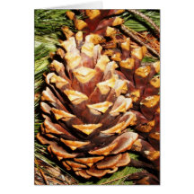 pine cone card 1