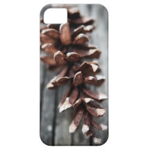 Pine Cone Case iPhone 5 Covers