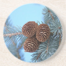 Pine Cone coasters