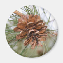 Pine Cone Magnets