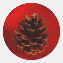 Pine Cone Round Stickers