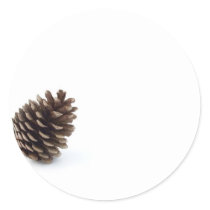 Pine Cone Round Sticker