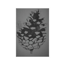 Pine Cone Wrapped Canvas Canvas Prints