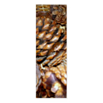 Pine Cones, Bookmark Business Card
