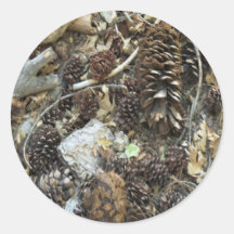 Pine Cones Ground Texture Round Sticker