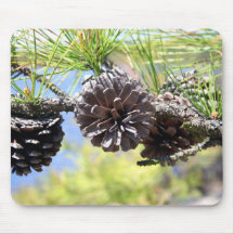 Pine Cones Mouse Pads