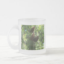 Pine Cones Mug